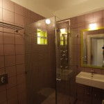 Ikion hotel superior twin room shower